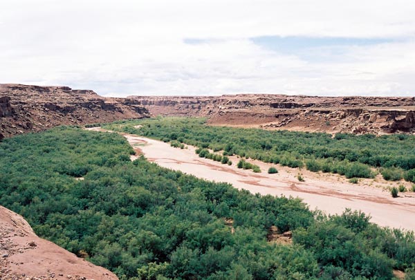 The Little Colorado, a tributary running through the Painted Desert