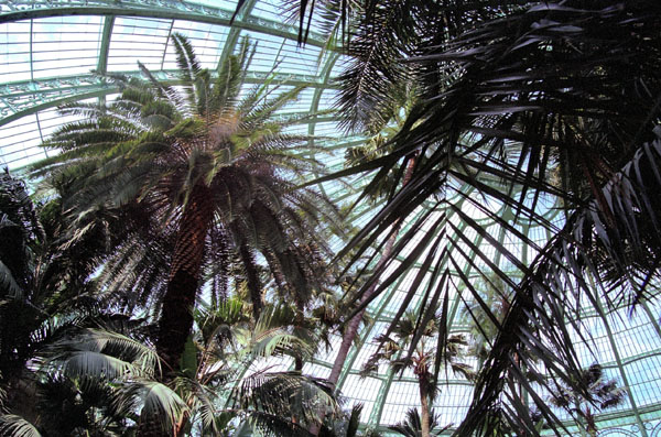 Serres Royales de Laeken, the Royal Greenhouses