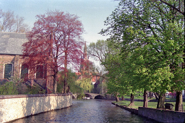 Bruges in the springtime
