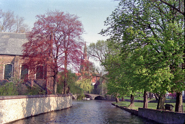 Bruges in the springtime