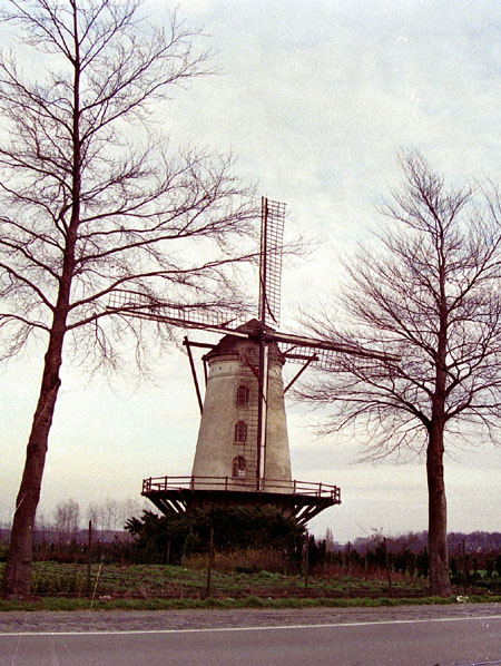 Windmill in East Flanders (Oost-Vlaanderen)