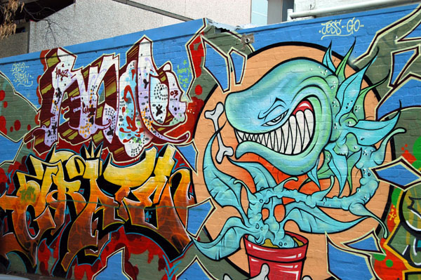 Grafitti art, Napier Street, Fitzroy