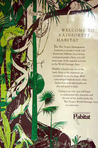 Welcome to the Rain Forest Habitat