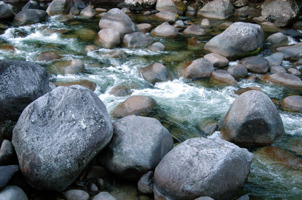 Mossman Gorge, Daintree National Park