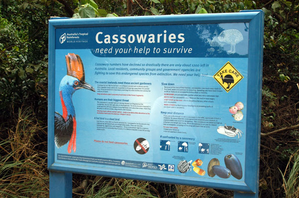 Cassowary information sign, Daintree National Park