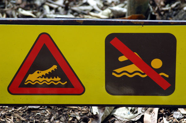 Duh, don't swim with the crocodiles!