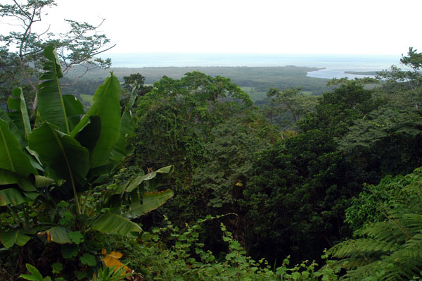 View from view point at Walu Wugirriga, Cape Tribulation Road