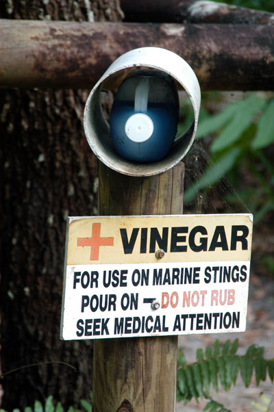 Emergency vinegar in case of jellyfish sting