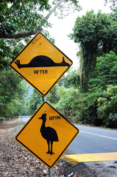 Cassowary crossing...Before and After