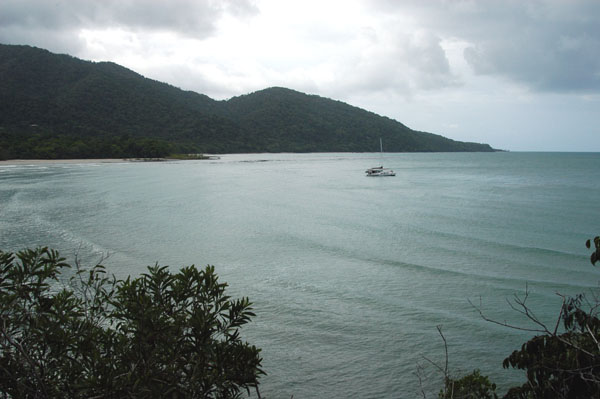 Cape Tribulation