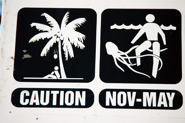 Caution for jellyfish Nov-May