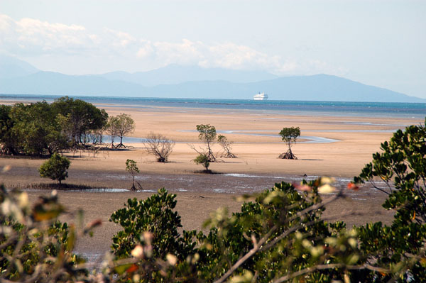 Low tide on the coast just south of Port Douglas looking at the Alexander Range to the north