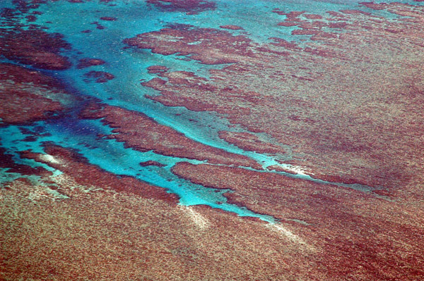 Hardy Reef, off Whitsunday Island, Great Barrier Reef