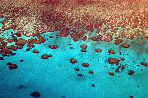 Hardy Reef, Great Barrier Reef, Queensland
