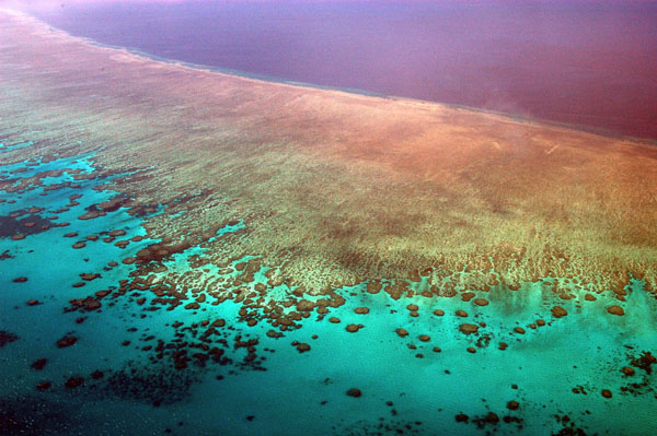 Hardy Reef, Great Barrier Reef, Queensland