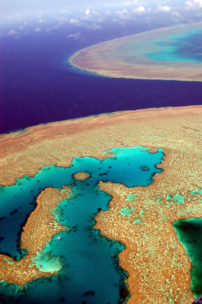 Hardy Reef and Hook Reef