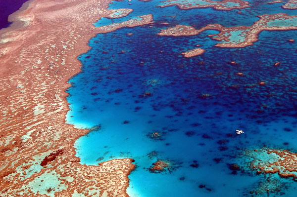 Hardy Reef