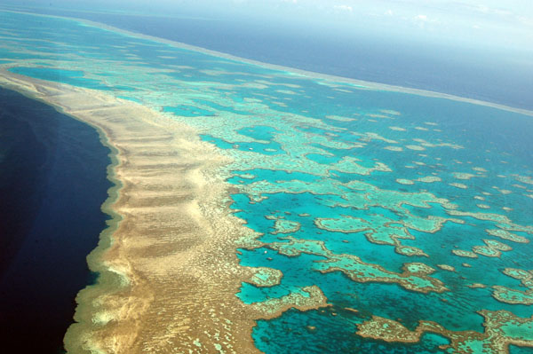 Hardy Reef