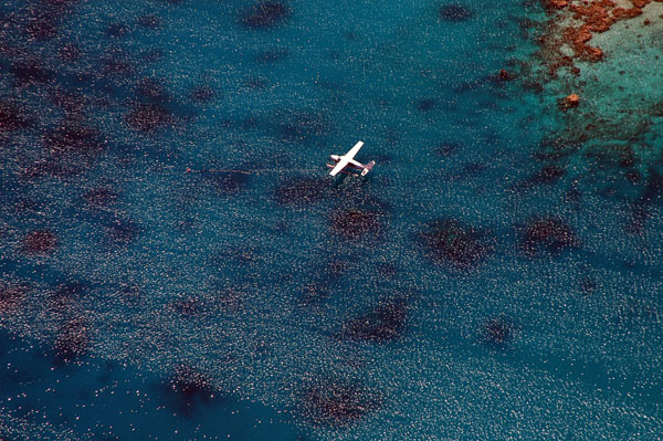 Seaplane, Great Barrier Reef