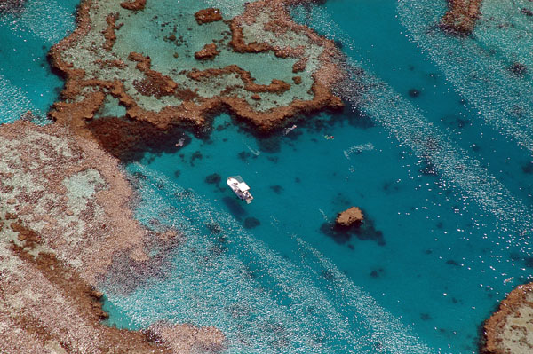 Snorklers, Great Barrier Reef