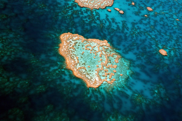 Hardy Reef, Great Barrier Reef