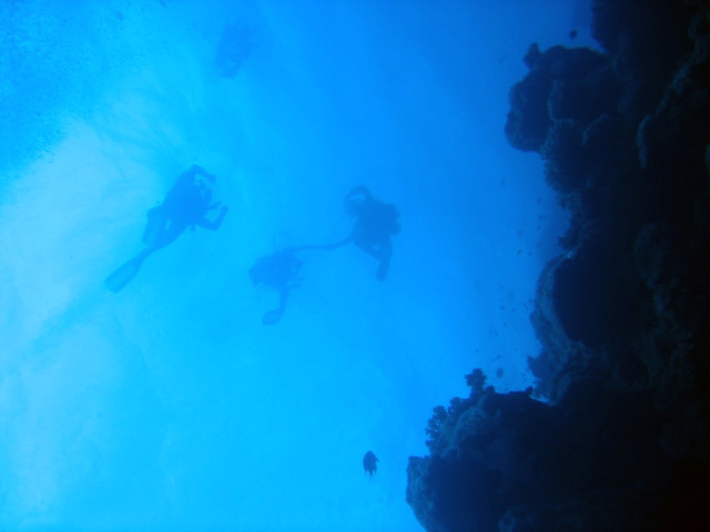 PortDouglasDive 031.JPG