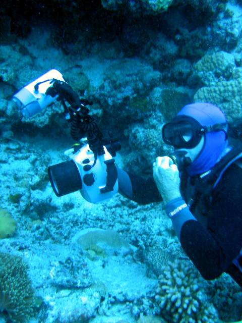 PortDouglasDive 041.JPG