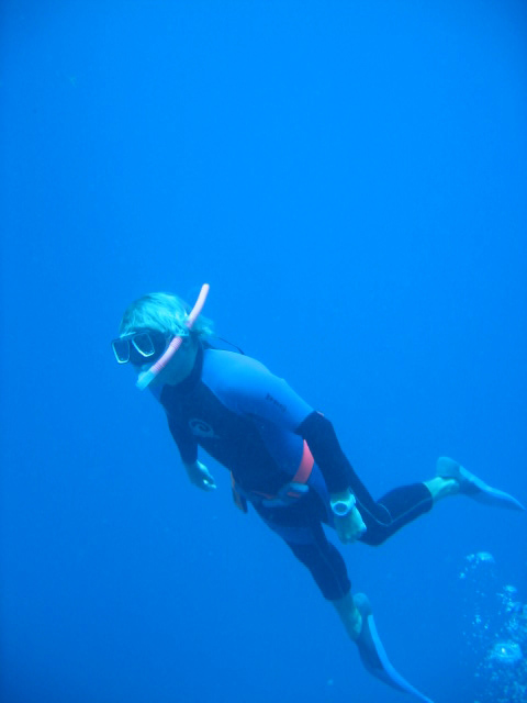 PortDouglasDive 069.JPG
