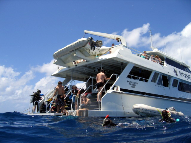 PortDouglasDive 114.JPG