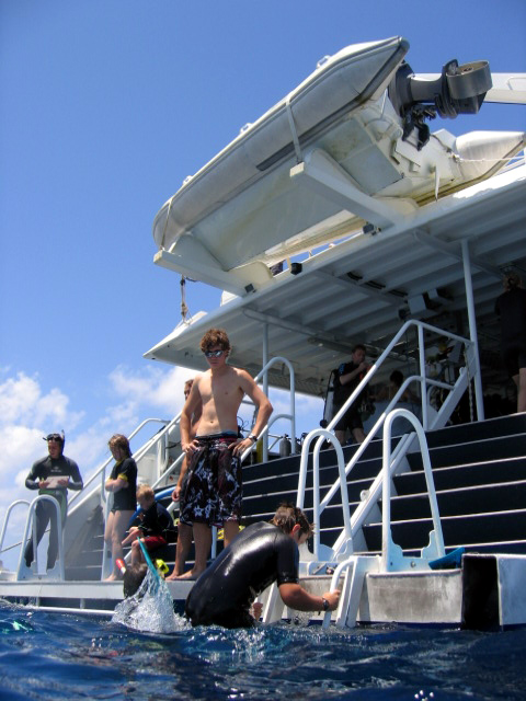 PortDouglasDive 116.JPG