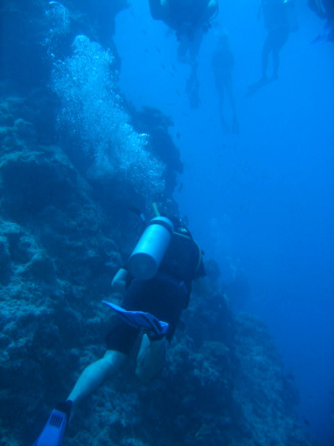 PortDouglasDive 169.JPG