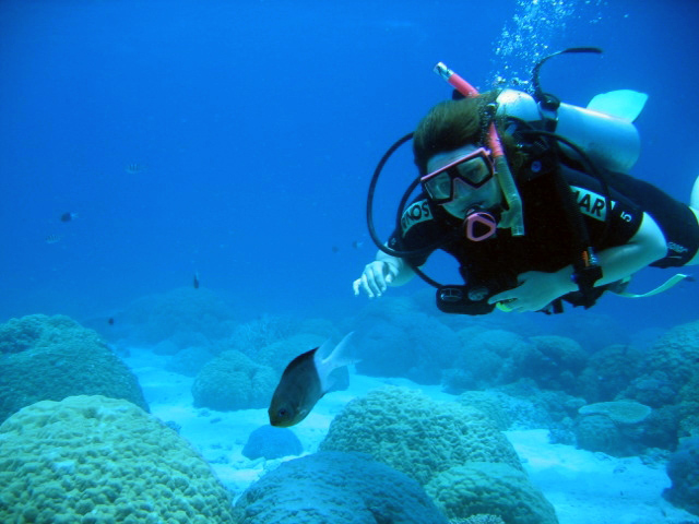 PortDouglasDive 221.JPG