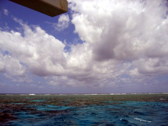 PortDouglasDive 268.JPG
