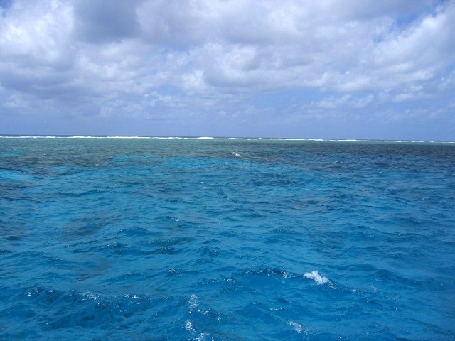 PortDouglasDive 269.JPG