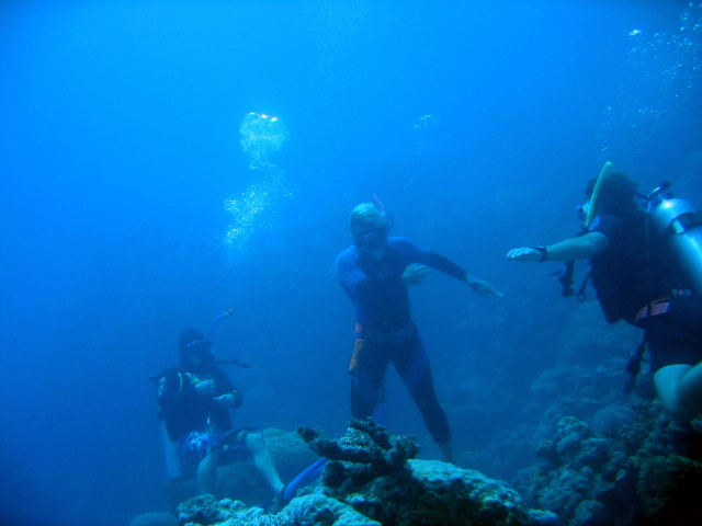 PortDouglasDive 314.JPG