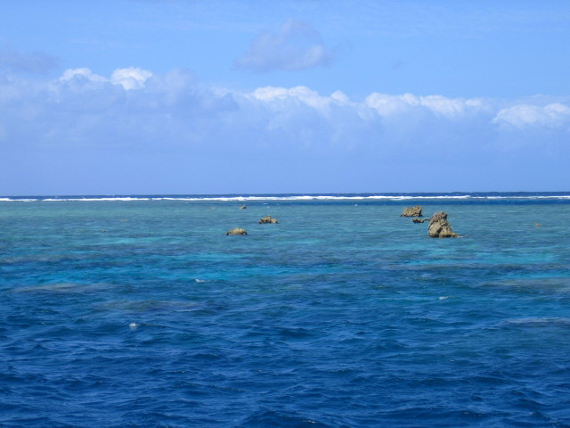 PortDouglasDive 350.JPG