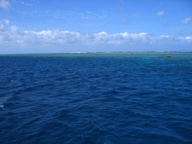 PortDouglasDive 353.JPG