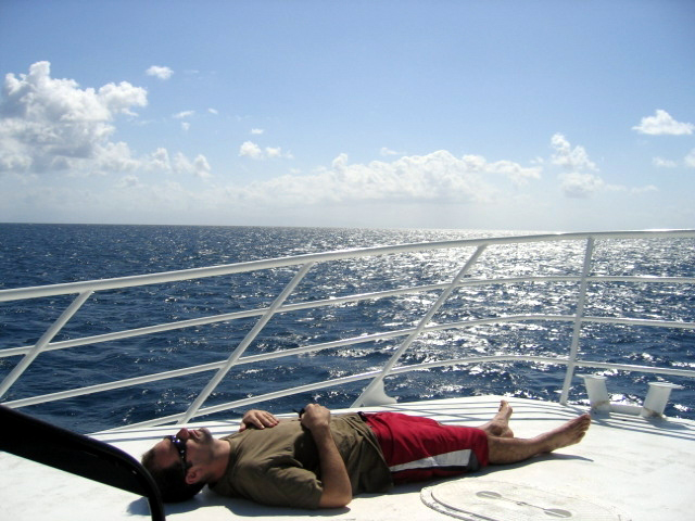 PortDouglasDive 354.JPG
