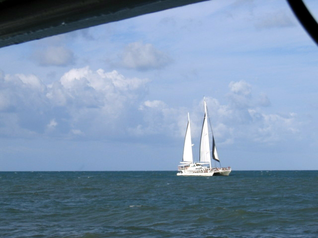 PortDouglasDive 357.JPG