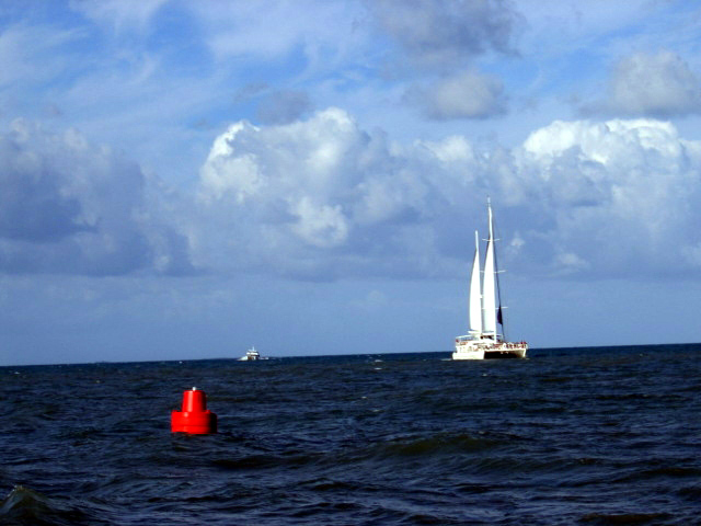 PortDouglasDive 359.JPG