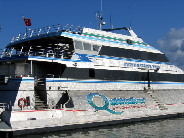 PortDouglasDive 381.JPG