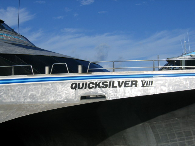 PortDouglasDive 384.JPG
