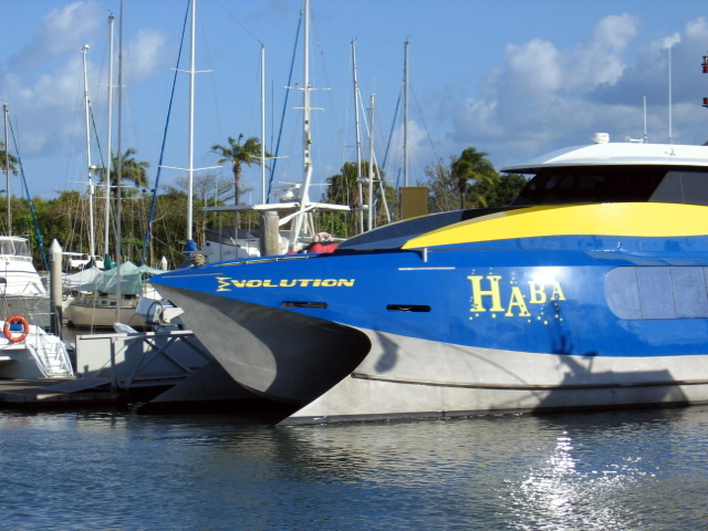 PortDouglasDive 389.JPG