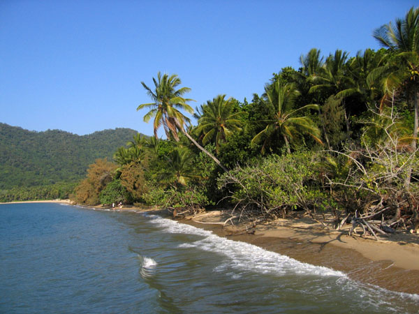 North shore of Dunk Island