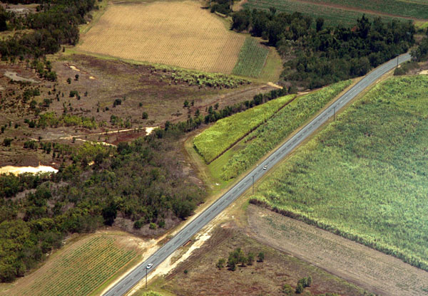 Captain Cook Highway and sugar cane fields