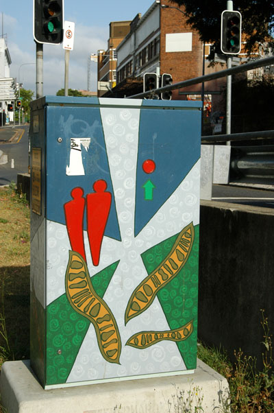 Painted utilities box, Brisbane