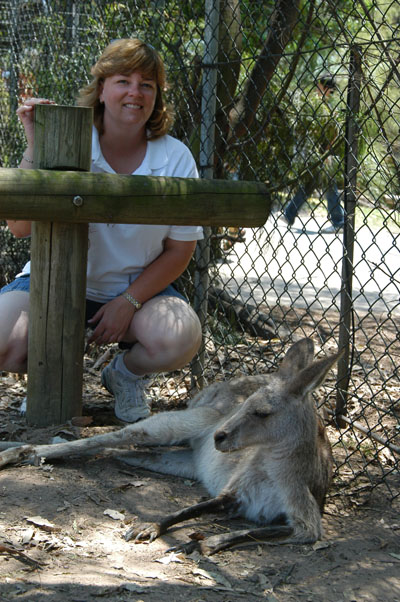 From koalas to kangaroos