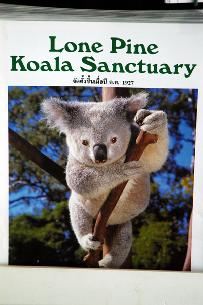 Lone Pine Koala Sanctuary souvenir book
