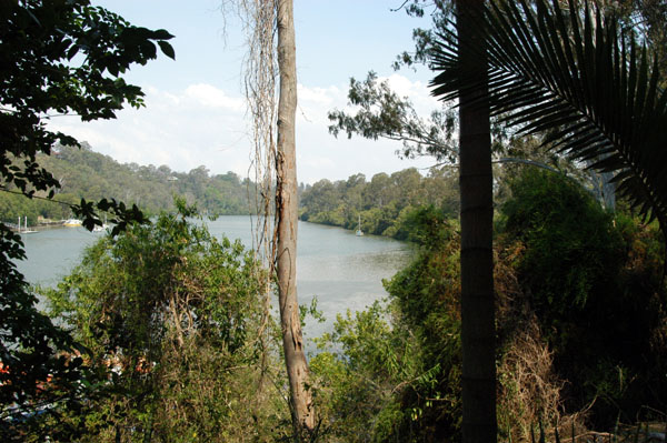 Brisbane River from Lone Pine Koala Sanctuary