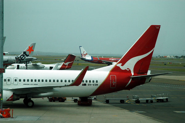 Qantas 737-800 at Sydney Domestic Terminal (VH-VXM)